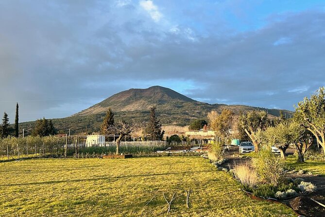 Horseback Riding on Mt. Vesuvius with Wine Tasting and Dinner - Who Will Enjoy This Experience Most