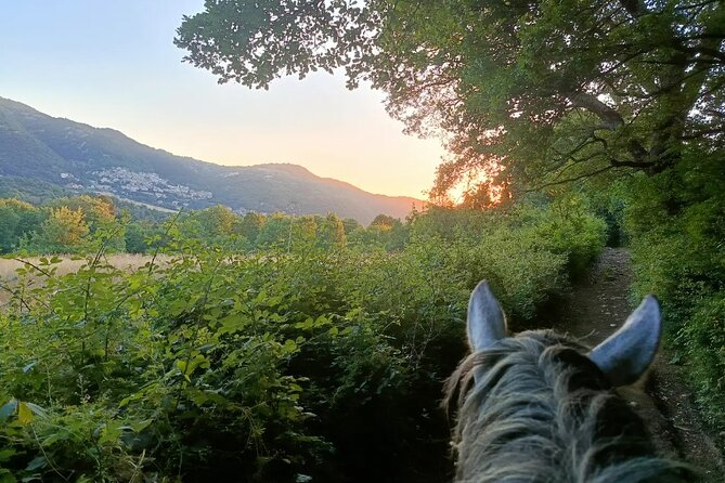 Horseback Riding on Mt. Vesuvius with Wine Tasting and Dinner - Should You Book Horseback Riding on Mount Vesuvius?