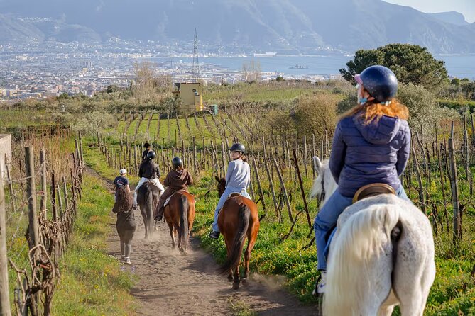 Horseback Riding on Mt. Vesuvius with Wine Tasting and Dinner - What the Horseback Ride Adds to a Vesuvius Visit