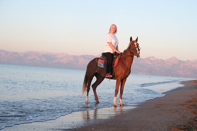 Horseback Riding on the Beach and through the Forest - Four photographs by the sea