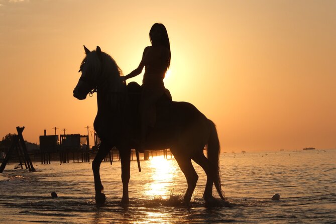 Horseback Riding on the Beach and through the Forest - What the $60.49 price really covers
