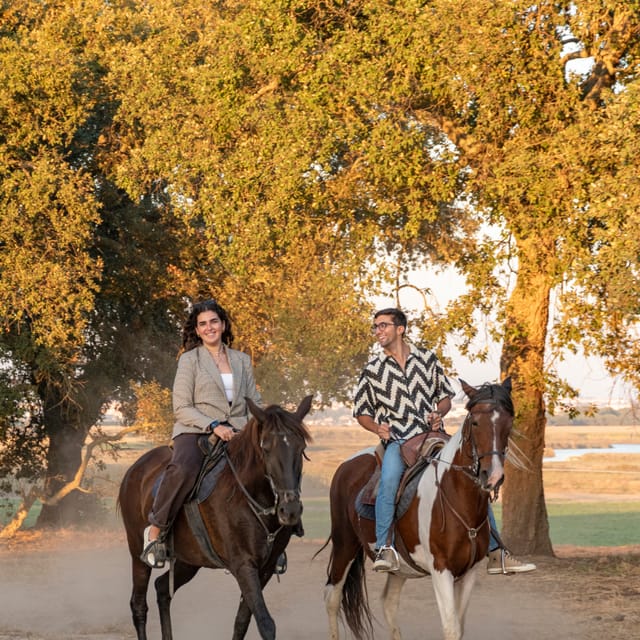 Horseback Riding On The Beach At Sunset - Riding beside the Tagus at Gaio Rosário