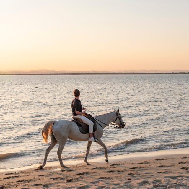 Horseback Riding On The Beach At Sunset - The welcome at Patio do Tejo