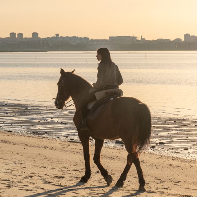 Horseback Riding On The Beach At Sunset - Who will enjoy this ride most