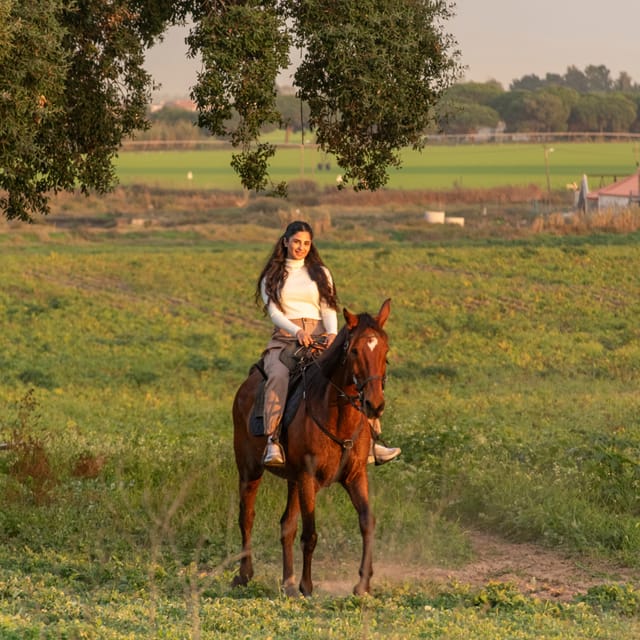 Horseback Riding On The Beach At Sunset - Should you book the Patio do Tejo ride?