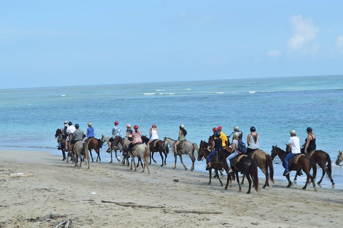 Horseback Riding on the Beach Free Transportation - How to prepare for a comfortable ride
