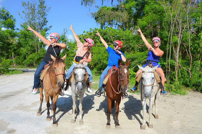 Horseback Riding on the Beach Free Transportation - Choosing the right horse and pace