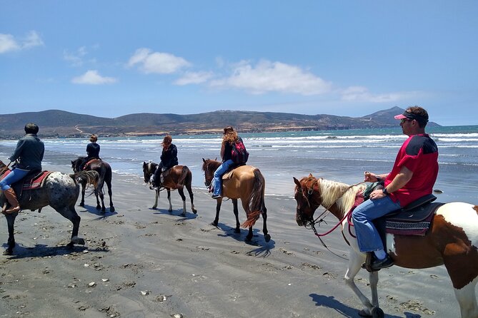 Horseback Riding on the Beach from Ensenada - A gentle ride for first-time riders