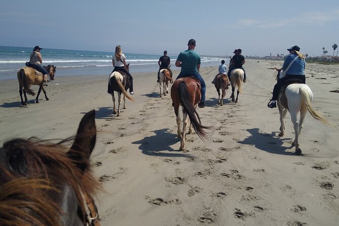 Horseback Riding on the Beach from Ensenada - What the guides add to the day