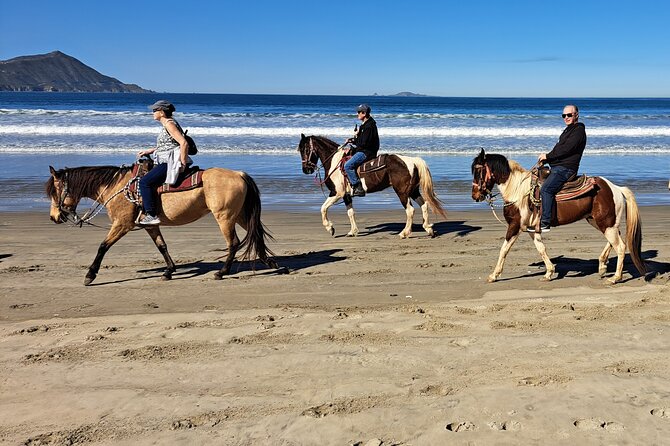 Horseback Riding on the Beach from Ensenada - Cruise-port pickup and timing