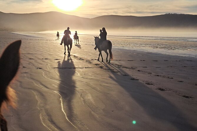 Horseback Riding on the Beach from Ensenada - Is $95 a fair price?