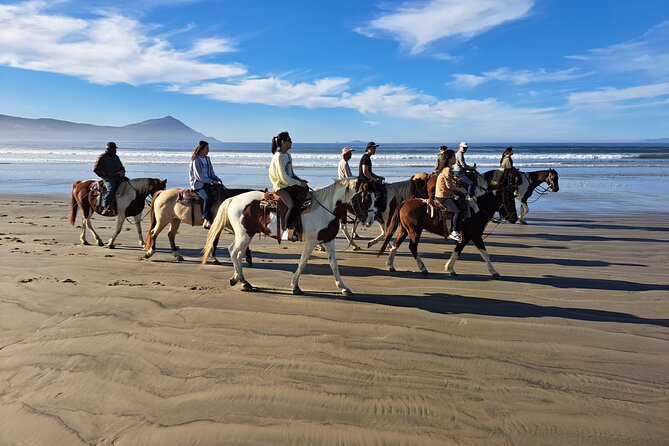 Horseback Riding on the Beach from Ensenada - Who should book this Ensenada ride?