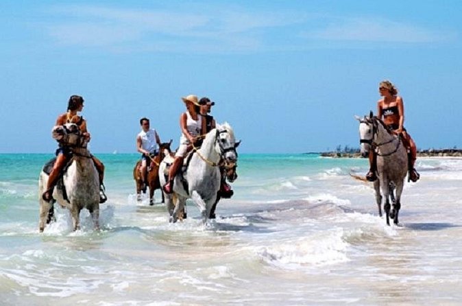 Horseback Riding on the Beach in Punta Cana (One Hour) - A possible swim at the beach