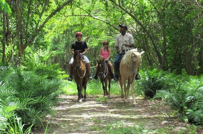 Horseback Riding on the Beach in Punta Cana (One Hour) - Who will enjoy this ride most