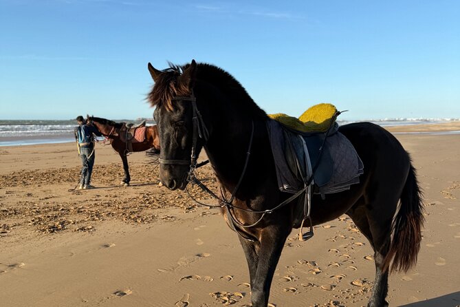 Horseback Riding On The Beach Of Essaouira - From Cafe Jimi Hendrix into the Essaouira countryside