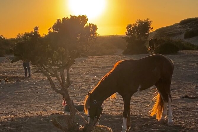 Horseback Riding On The Beach Of Essaouira - Reaching the beach and riding beside the Atlantic