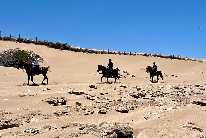 Horseback Riding On The Beach Of Essaouira - Who should book this ride