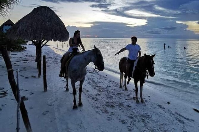 Horseback Riding on the Beaches of Holbox - What the Holbox ride is really like