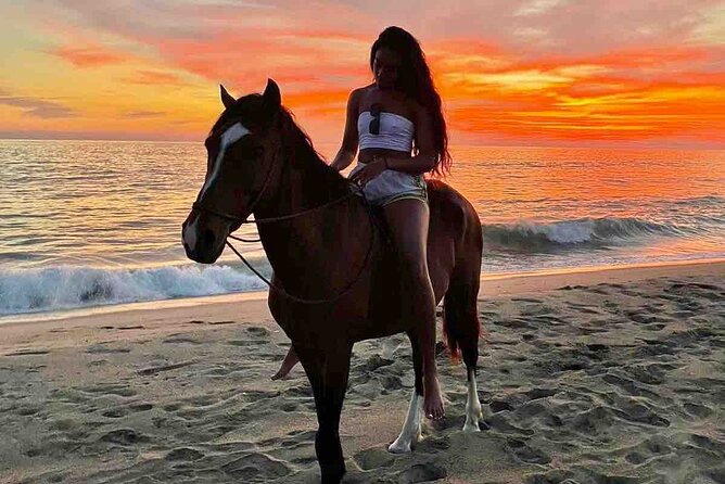 Horseback Riding on the Beaches of Holbox - Playa Punta Cocos and the beach section