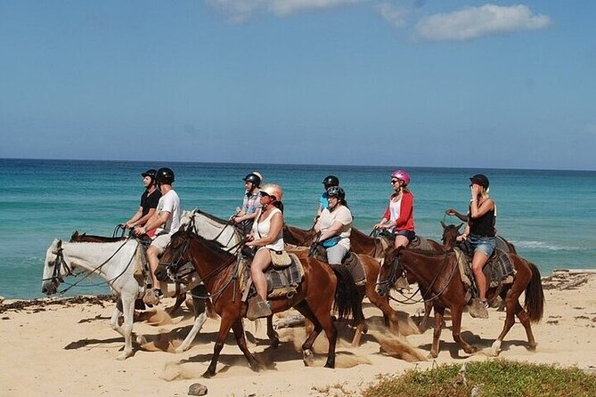 Horseback Riding on the Beaches of Punta Cana - Key points at a glance