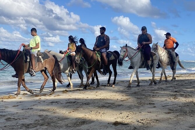 Horseback Riding on the Beaches of Punta Cana - Choosing a horse when you have little experience