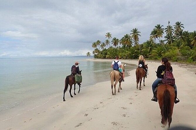 Horseback Riding on the Beaches of Punta Cana - How the $50 price works for you