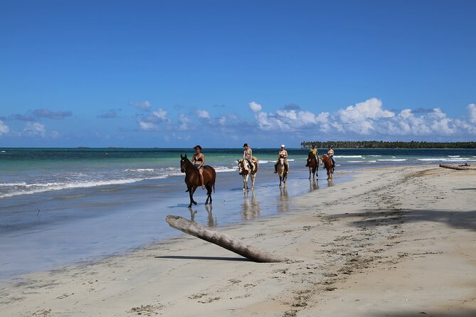 Horseback Riding on the Beaches of Punta Cana - Timing, weather, and the best fit
