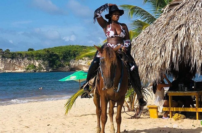 Horseback Riding on the Stunning Beaches of Punta Cana - Beach Time, Coconut Water, and Photo Stops