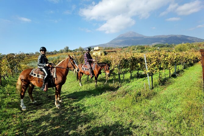 Horseback Riding on Vesuvius - Meeting in Pompeii and getting to the stable