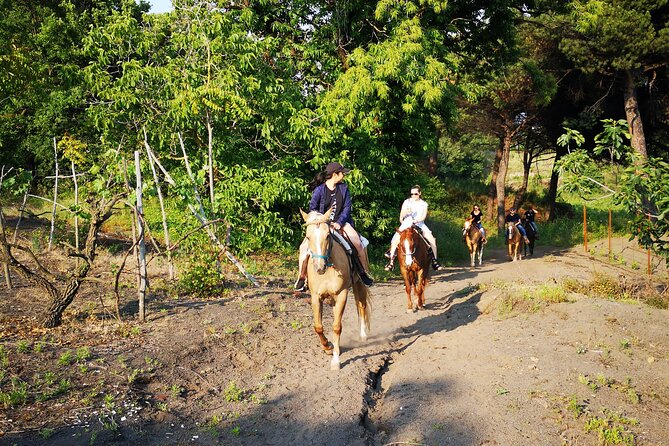 Horseback Riding on Vesuvius - Is $78.64 a fair price?