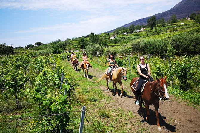 Horseback Riding on Vesuvius - Getting comfortable with the horses