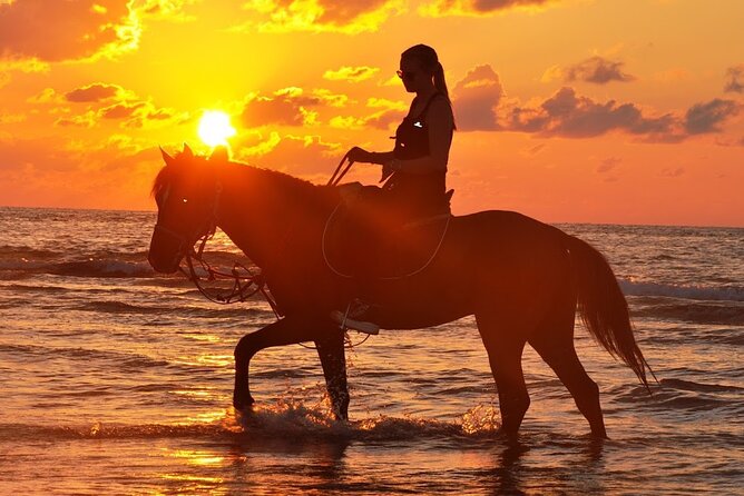 Horseback riding or camel at sunset in Djerba - Why sunset is the right time for this Djerba ride