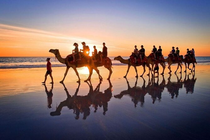 Horseback riding or camel at sunset in Djerba - What the guides add to the experience