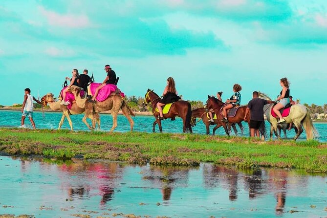 Horseback riding or camel at sunset in Djerba - Is the ride suitable for beginners?