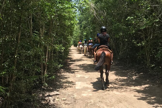 Horseback Riding plus ATV, Cenote, Ziplines, and Lunch - What the $60.75 price really covers