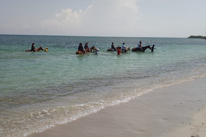 Horseback Riding plus Dunns River Falls Combo Private Tour - What the $190 price really covers