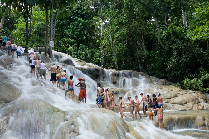 Horseback Riding plus Dunns River Falls Combo Private Tour - Practical planning for a smoother day