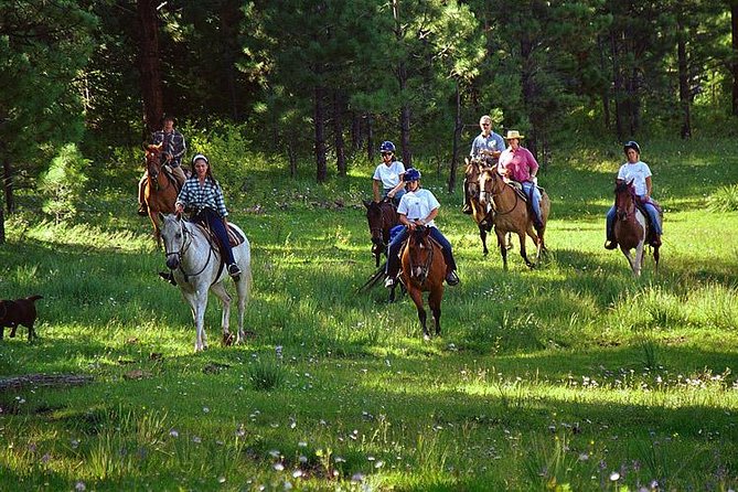 Horseback Riding Plus Tour to Sacsayhuaman, Quenqo, Puka Pucara and Tambomachay - Why this Cusco horseback tour works well