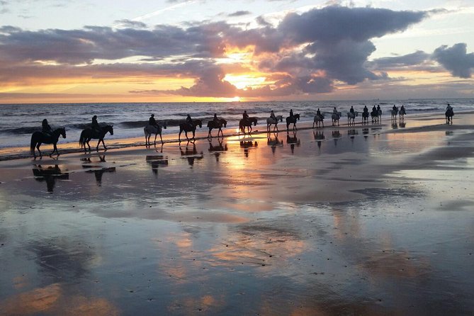 Horseback riding route through Doñana + visit to El Rocio-Private tour - From Seville to Doñana by air-conditioned vehicle