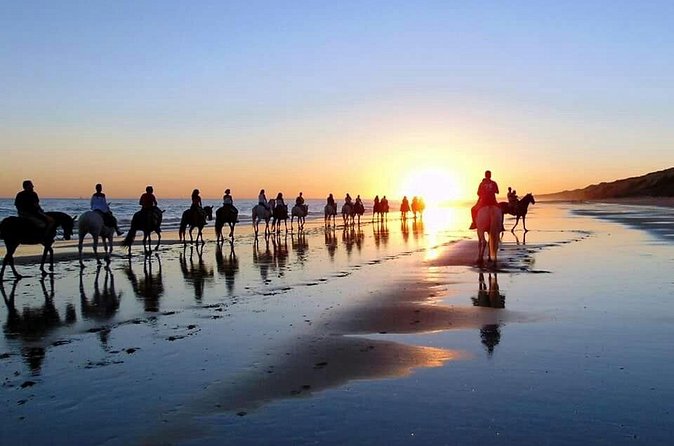 Horseback riding route through Doñana + visit to El Rocio-Private tour - Matalascañas and the Asperillo cliffs
