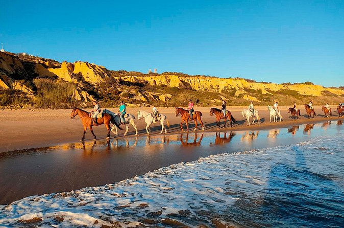 Horseback riding route through Doñana + visit to El Rocio-Private tour - Riding details to clarify before you go