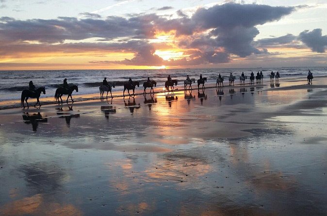 Horseback riding route through Doñana + visit to El Rocio-Private tour - What the $266.16 price means
