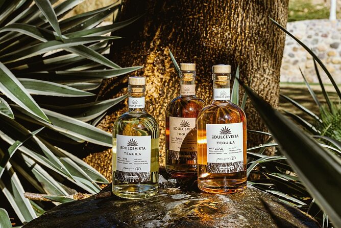 Horseback Riding & Swim: Tequila Tasting, BBQ & Margaritas - From Marina Vallarta to Hacienda Doña Engracia
