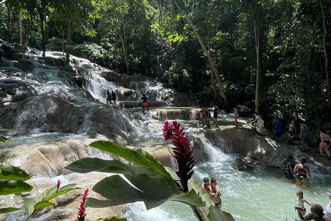 Horseback Riding/Swimming and Dunn's River from Ocho Rios - A guide-led experience with a personal touch