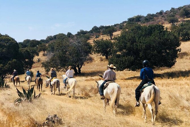 Horseback Riding through Mexican Haciendas - Key points at a glance