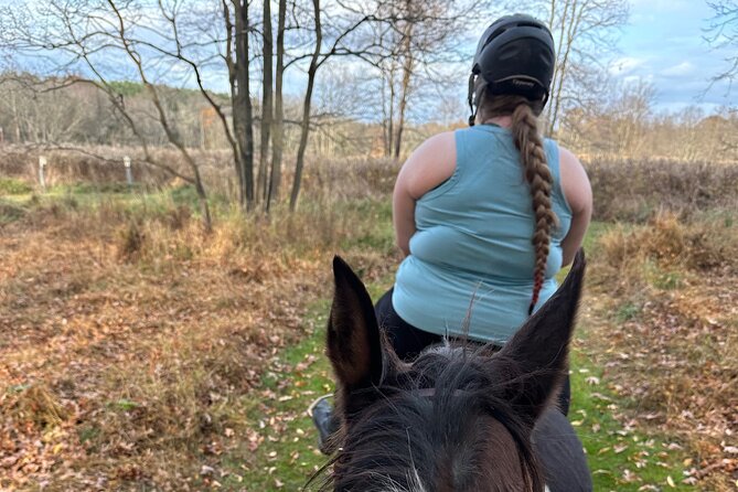 Horseback Riding Through Scenic Park in Brookeville - Key points to know before you book