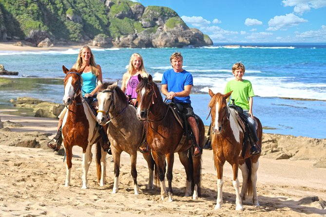 Horseback Riding through Secluded Beaches and Tropical Forests - What this horseback ride is really like