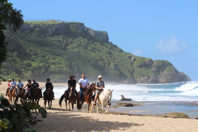 Horseback Riding through Secluded Beaches and Tropical Forests - Shacks Beach: the first coastal stop