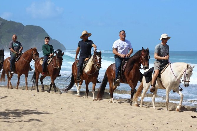 Horseback Riding through Secluded Beaches and Tropical Forests - Survival Beach and the 15-minute pause