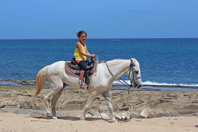 Horseback Riding through Secluded Beaches and Tropical Forests - How the horses and guides shape the experience